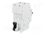 ABB Disjoncteur 2 pôles 10A 230/400VAC