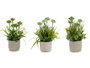 Ibergarden Plante Artificielle Tiges Pot Ciment Assorti Couleurs 23x39x23 cm (Set de 6)