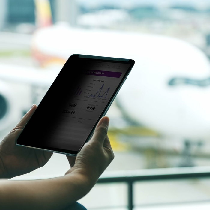 Câble HDMI Startech 129IP-PRIVACY-SCREEN Noir