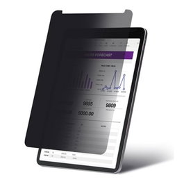 Startech 129IP-PRIVACY-SCREEN Filtre de Confidentialité pour iPad Pro 12,9 pouces Noir