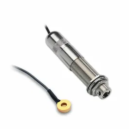 Fishman Classic Series Pastille passive pour guitare résonatrice