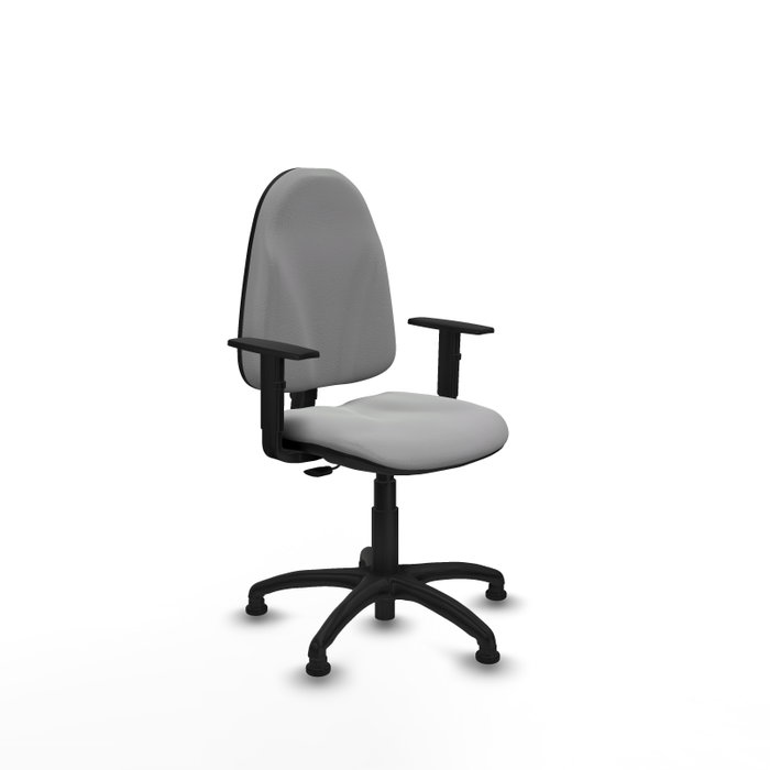 PIQUERAS Y CRESPO Chaise de bureau Algarra, similicuir gris clair, accoudoirs 1D PIQUERAS Y CRESPO Chaise de bureau Algarra, similicuir gris clair, accoudoirs 1D