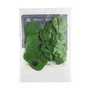 DUNLOP Pack de 72 Médiators Tortex® Teardrop Verts - 0,88 mm
