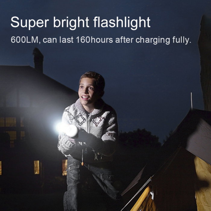 EcoFlow Camping Light - Noir / Or