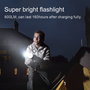 EcoFlow Camping Light - Noir / Or