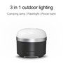 EcoFlow Camping Light - Noir / Or