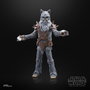Hasbro Star Wars The Black Series Figurine Décor Spécial Halloween