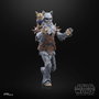 Hasbro Star Wars The Black Series Figurine Décor Spécial Halloween