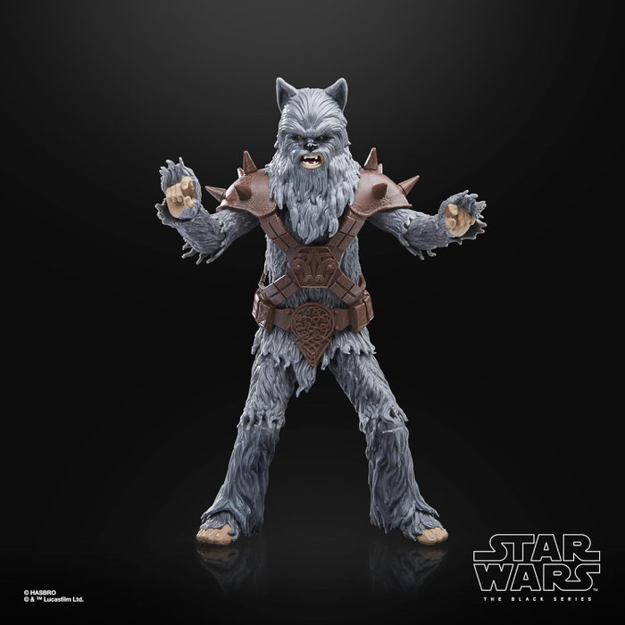 Hasbro Star Wars The Black Series Figurine Décor Spécial Halloween