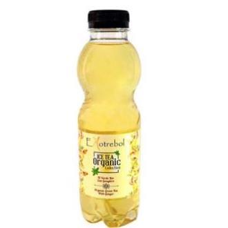 EKOTREBOL Thé Vert Gingembre 500ml Bio - Boisson Rafraîchissante Verte, Vegan, Sans Lactose EKOTREBOL Thé Vert Gingembre 500ml Bio - Boisson Rafraîchissante Verte, Vegan, Sans Lactose