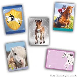 Panini - Boîte de Stickers Collection Chevaux - 24 pochettes de 8 cartes (192 cartes total) avec races, poulains, messages et à colorier