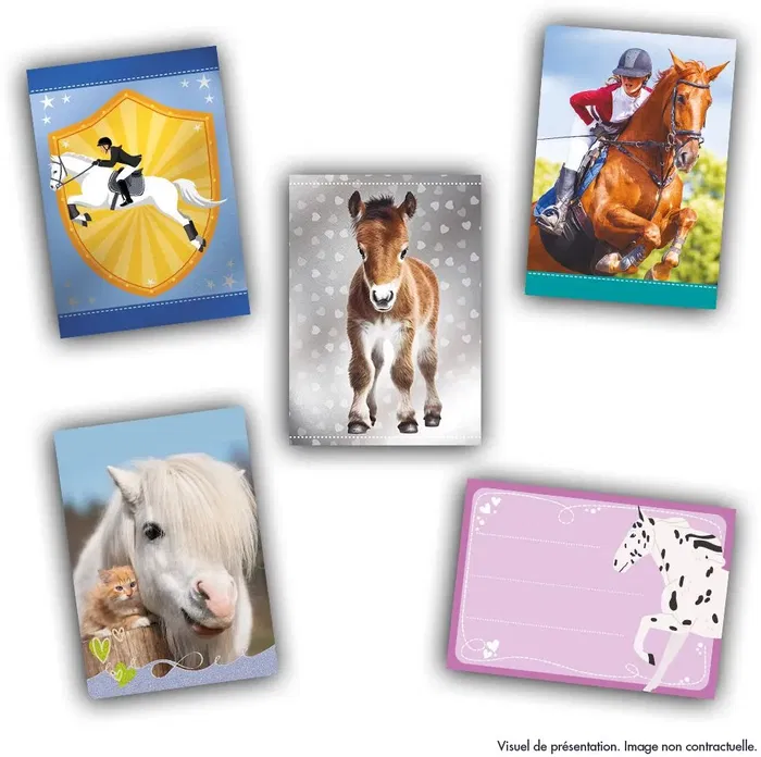 Panini - Boîte de Stickers Collection Chevaux - 24 pochettes de 8 cartes (192 cartes total) avec races, poulains, messages et à colorier