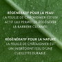 Melvita Coffret L'OR VÉGÉTAL 2 pièces avec Sérum corps et Bougie