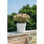 Deroma Pot de fleurs Save R Blanc 58L