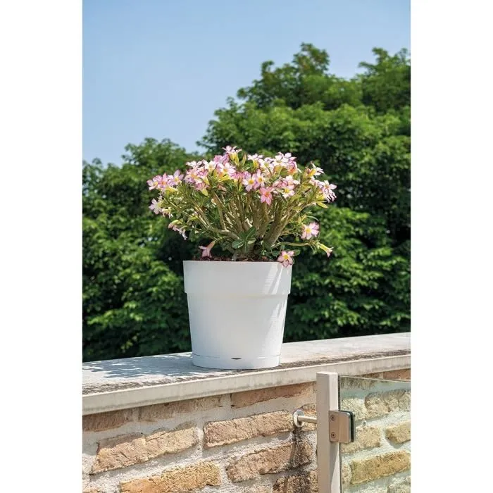 Deroma Pot de fleurs Vaso Save R - 48 x 43,1 cm, 58 L - Pot avec réserve d'eau en matière recyclée, résistant au gel et aux UV - Blanc