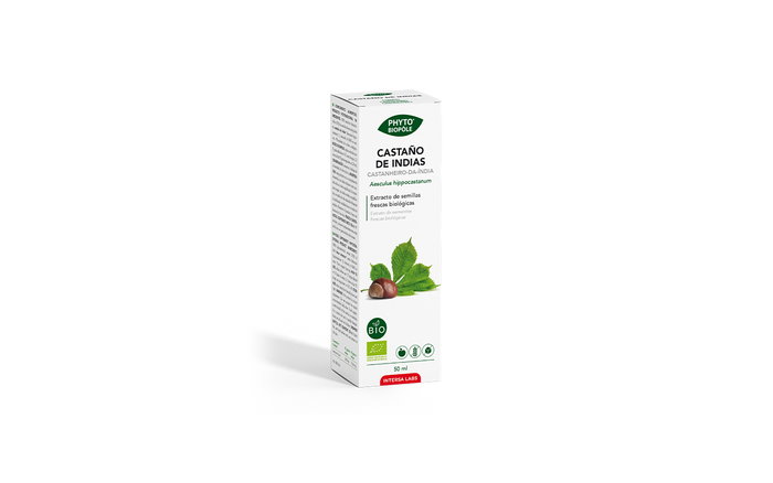 Castaño De Indias Phyto-Biopole Castaño De Indias Phyto-Biopole