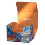 Ultimate Guard Sidewinder 100+ Xenoskin 2025 Exclusive "Coral Places" - Fiery Reef