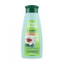 Linea Verde Shampooing Anticaspa et Anticaída Capuchina 400 ml