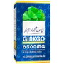 Estado Puro Ginkgo 6500 mg 40 capsules