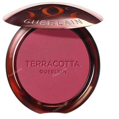 Guerlain Terracotta Blush 04