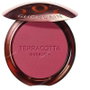 Guerlain Terracotta Blush 04