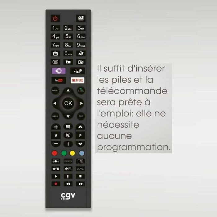 CGV Télécommande de remplacement FIDELIO pour Grundig