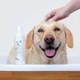 Shampoing pour animaux de compagnie VETEXPERT 250 ml
