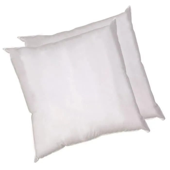Blanreve Oreiller Blanc Lot de 2 - Coton 60 x 60 cm, Garnissage Polyester 550 g - Confort Moelleux Blanreve Oreiller Blanc Lot de 2 - Coton 60 x 60 cm, Garnissage Polyester 550 g - Confort Moelleux