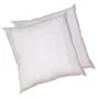 Blanreve Oreiller Blanc Lot de 2 - Coton 60 x 60 cm, Garnissage Polyester 550 g - Confort Moelleux