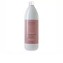 Farmavita Amethyste Chroma Shampoing protecteur de couleur 1000 ml