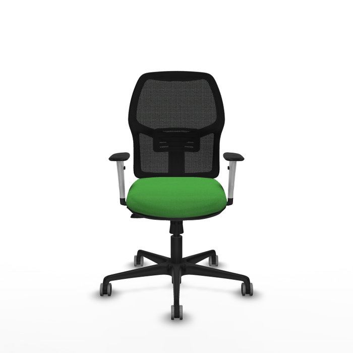 PIQUERAS Y CRESPO Chaise Alfera Synchrone Vert/Noir avec base en nylon noir