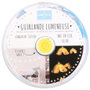 Home Deco Kids Guirlande Lumineuse 10 LED Arc-en-ciel