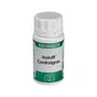 EQUISALUD Holofit Controlgras 50 capsules