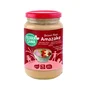 TERRASANA Amazake de riz brun intégral BIO 380 g