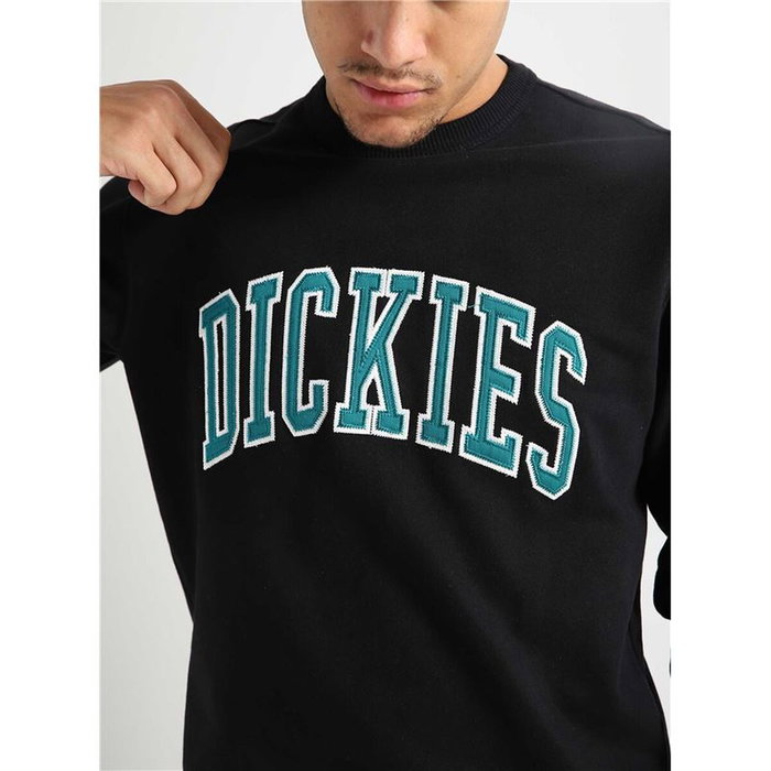 Sweat à capuche homme Dickies Aitkin Noir
