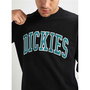 Sweat à capuche homme Dickies Aitkin Noir