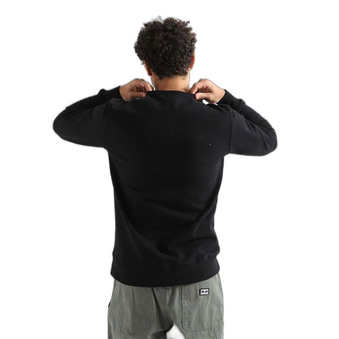 Sweat à capuche homme Dickies Aitkin Noir