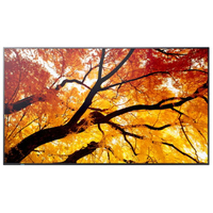 Moniteur Videowall Sharp 60006057 4K Ultra HD 74,5"