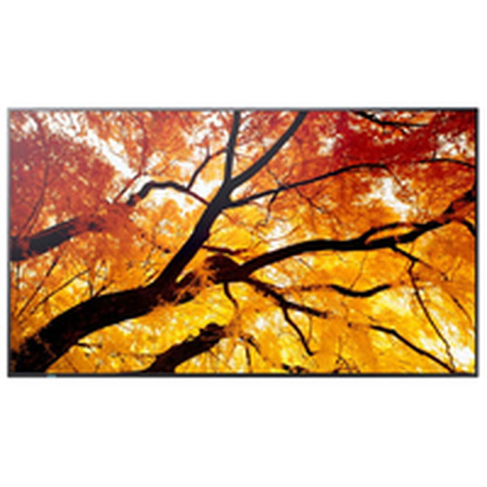 Moniteur Videowall Sharp 60006057 4K Ultra HD 74,5"