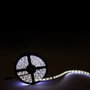 Bande de LED SMD5050 6000K Blanc Froid 60W IP65 5m 24VDC