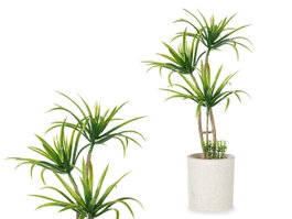 IBERGARDEN Palmier Vert avec Pot en Ciment Médium Gris-Vert