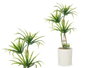 IBERGARDEN Palmier Vert avec Pot en Ciment Médium Gris-Vert