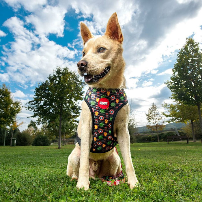 Harnais pour Chien Marvel Rouge S/M Réversible Harnais pour Chien Marvel Rouge S/M Réversible