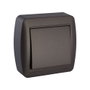 Solera Interrupteur de surface 10AX 250V série Mural - Grafite 74x72x28 mm