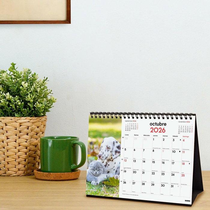 Calendrier de bureau Finocam Multicouleur Papier 21 x 15 cm