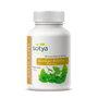 SOTYA Ginkgo Biloba 700 mg - 100 Comprimés