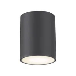 RABALUX Plafonnier d'extérieur Zombor 1xGU10 IP54 RAB-7819