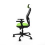 Piqueras y Crespo 3D036N2 Chaise de Bureau avec Appui-tête Pistache
