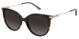 Pierre Cardin P.C.-8528-S-086 Marron