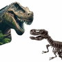 SES Creative Fouille de dinosaures et de squelettes 2 en 1 - T-rex